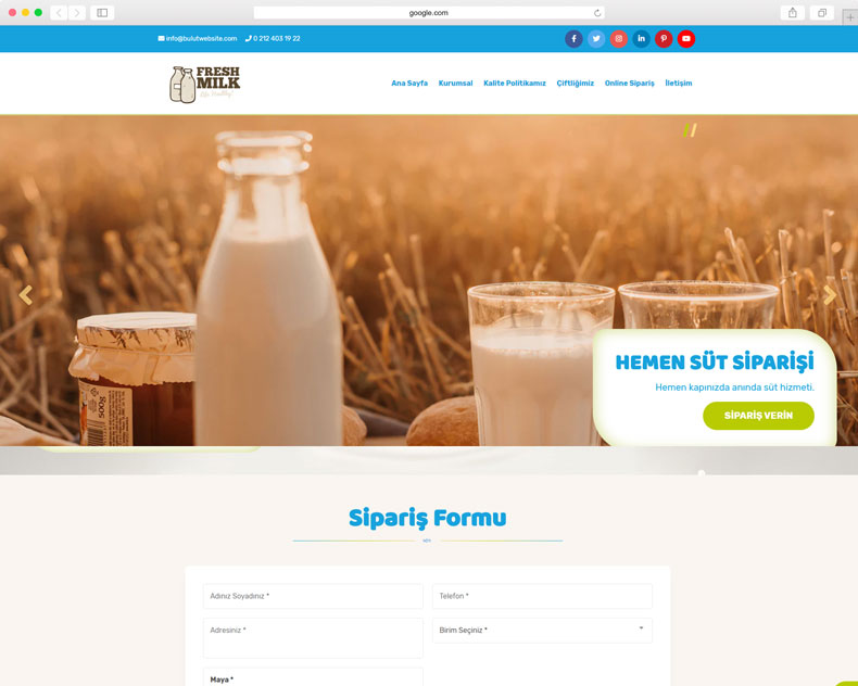 Süt Ürünleri Sipariş Web Sitesi 101